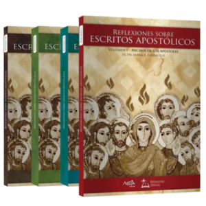 Reflexiones sobre Escritos Apostólicos Volúmenes I - II - III y IV - Promoción